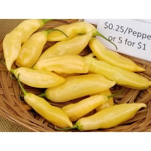 Pepper HOT 'Sugar Rush Peach' Plant (4