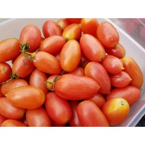 Tomato 'Maglia Rosa' Seeds (Certified Organic)