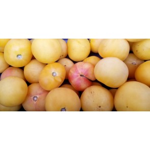 Tomato 'Garden Peach' Seeds (Certified Organic)