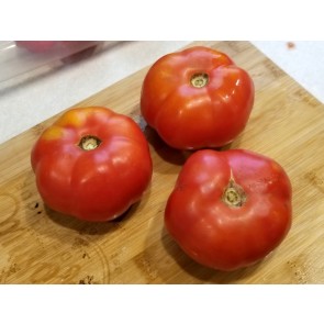 Tomato 'Super Sioux' Seeds (Certified Organic)