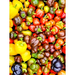 Sweet Pepper ‘Mini Bell Mix’ Seeds (Certified Organic)