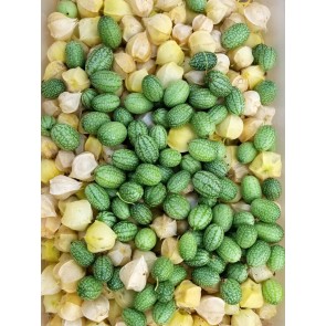 Cucumber 'Mouse Melon' or 'Mexican Sour Gherkin' Seeds (Certified Organic)