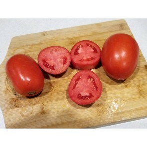 Tomato 'Heinz Super Roma' 