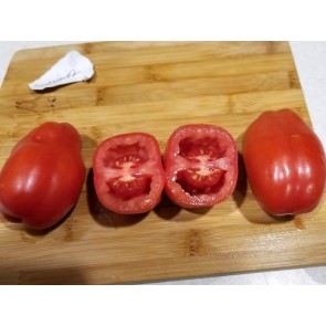 Tomato 'Scatalone 2' Seeds (Certified Organic)