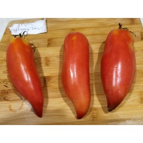 Tomato 'Jersey Devil' Seeds (Certified Organic)