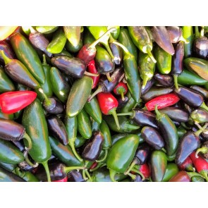 Crushed Jalapeno Peppers Harvested on our Farm, Certified Organic