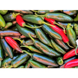 Crushed Serrano Peppers Harvested on our Farm, Certified Organic
