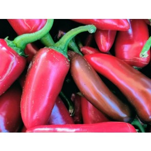 Crushed Fresno Peppers Harvested on our Farm, Certified Organic