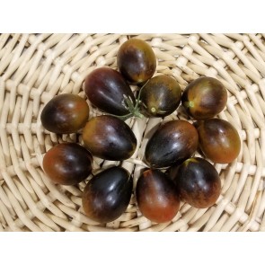 Tomato 'Black Keyes' Seeds (Certified Organic)