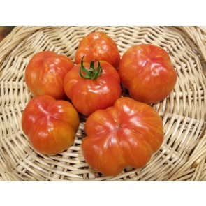 Tomato 'Striped Cavern' Seeds (Certified Organic)