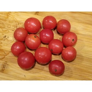 Tomato 'Ambrosia Pink' 