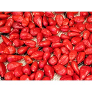 Crushed Inca Peruvian Peppers Harvested on our Farm, Certified Organic