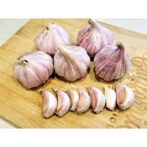  Certified Organic Bogatyr Culinary Garlic Harvested on our Farm - 4 oz. Bag (FARM PICK-UP)