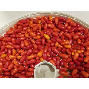 Hot Pepper ‘Pequin’ Seeds (Certified Organic)