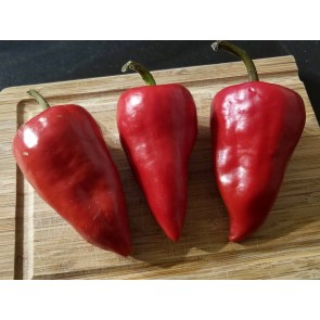 Hot Pepper ‘Chilhuacle Rojo' Seeds (Certified Organic)