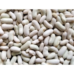Bush Snap Bean 'Masai' Seeds (Certified Organic)