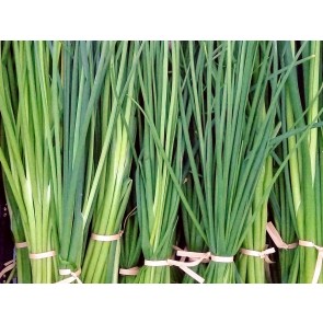 Chives