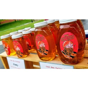 Raw Unfiltered Michigan Fall Honey (FARM PICK-UP)