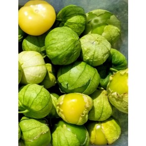 Tomatillo 'Amarylla' Seeds (Certified Organic)