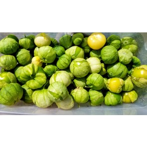 Tomatillo 'Grande Rio Verde' Seeds (Certified Organic)