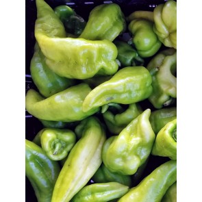 Hot Pepper ‘Beaver Dam’ Seeds (Certified Organic) 