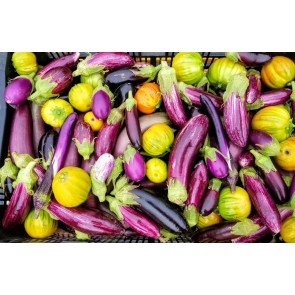 Eggplant ‘Tsakoniki’ Seeds (Certified Organic)