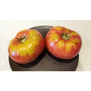 Tomato 'German Johnson' Seeds (Certified Organic)