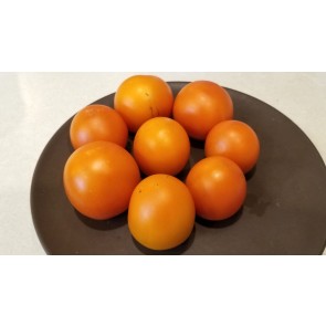 Tomato 'Jaune Flamme' Seeds (Certified Organic)