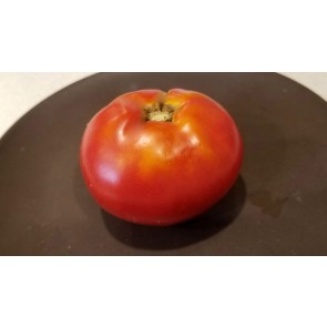 Tomato 'Moskvich'