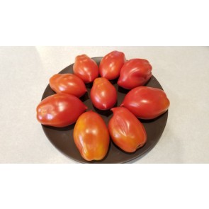 Tomato 'Ropreco Paste' Seeds (Certified Organic)