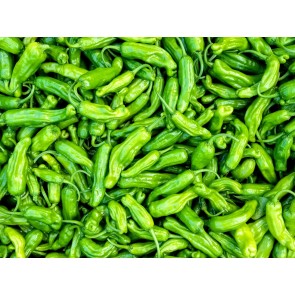 Pepper 'Shishito' Seeds (Certified Organic)