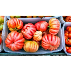 Tomato 'Mushroom Basket' Seeds (Certified Organic)