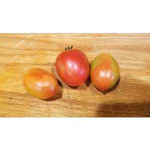 Tomato 'Principe Borghese' Seeds (Certified Organic)