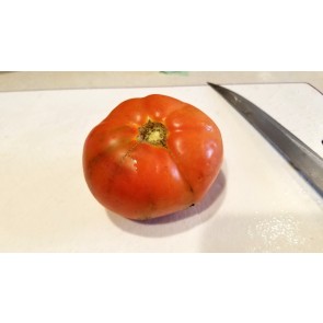 Tomato 'Carmello'