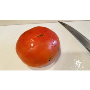 Tomato 'Carmello' Seeds (Certified Organic)