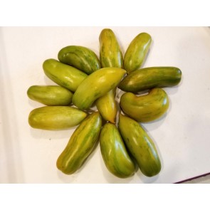 Tomato 'Green Sausage' Seeds (Certified Organic)