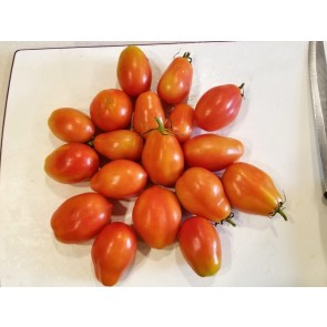 Tomato 'Napoli' Seeds (Certified Organic)