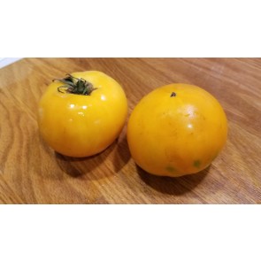 Tomato 'Tangerine'