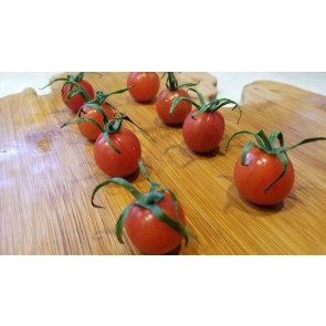 Tomato 'Renegade Spider' Seeds (Certified Organic)