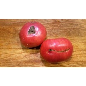 Tomato 'Red Rose' Seeds (Certified Organic)