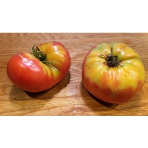 Tomato 'Red Rose' 