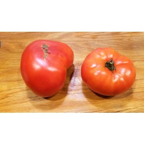 Tomato 'Super Beefsteak'