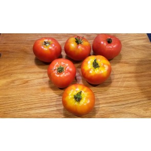 Tomato 'Double Rich' 