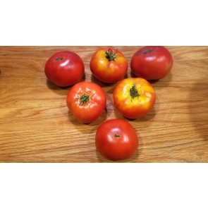 Tomato 'Double Rich' Seeds (Certified Organic)