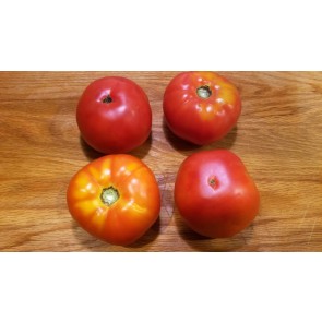 Tomato 'Rutgers'