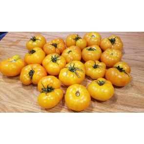 Tomato 'Rumi Banjan' Seeds (Certified Organic)