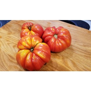 Tomato 'Sicilian Saucer' Plant (4