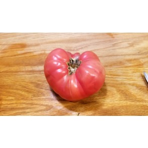 Tomato 'New Big Dwarf' Seeds (Certified Organic)