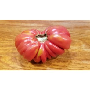 Tomato 'Pink Accordion'