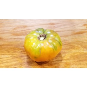 Tomato 'Persimmon'